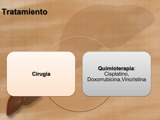 Tratamiento
Cirugia
Quimioterapia:
Cisplatino,
Doxorrubicina,Vincristina
 
