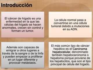 Introducción
El cáncer de hígado es una
enfermedad en la que las
células del hígado se hacen
anormales, crecen sin control y
forman un tumor.
La célula normal pasa a
convertirse en una célula
tumoral debido a mutaciones
en su ADN.
Además son capaces de
emigrar a otros lugares a
través de la sangre o de la linfa
y pueden empezar a proliferar
en un lugar diferente y
provocar metástasis.
El más común tipo de cáncer
hepático es el Carcinoma
hepatocelular, denominado
también hepatocarcinoma o
hepatoma porque proviene de
los hepatocitos, que son el tipo
principal de célula del hígado.
 