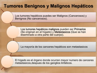 Tumores Benignos y Malignos Hepáticos
Los tumores hepáticos puedes ser Malignos (Cancerosos) y
Benignos (No cancerosos).
Los tumores hepáticos malignos pueden ser Primarios
(Se originan en el hígado) y Metástasicos (Que se han
diseminado a otra parte del cuerpo).
La mayoría de los canceres hepáticos son metastasicos
El hígado es el órgano donde ocurren mayor numero de canceres
metastasicos,despues de los ganglios linfaticos.
 
