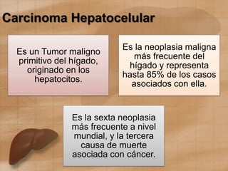 Carcinoma Hepatocelular
Es un Tumor maligno
primitivo del hígado,
originado en los
hepatocitos.
Es la neoplasia maligna
más frecuente del
hígado y representa
hasta 85% de los casos
asociados con ella.
Es la sexta neoplasia
más frecuente a nivel
mundial, y la tercera
causa de muerte
asociada con cáncer.
 