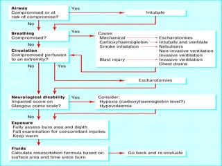 management of a burn patient | PPT
