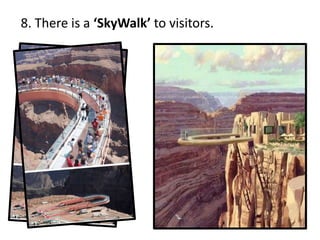 8. There is a ‘SkyWalk’ to visitors.
 