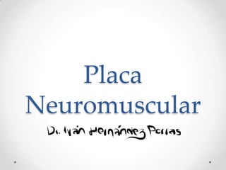 Placa
Neuromuscular
 