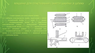 МАШИНИ ДЛЯ ПЛАСТУВАННЯ І ЗНЯТТЯ ШКУРКИ ЗІ ШПИКУ
Схеми машин для пластування шпику:
а) з набором пластинчастих ножів, закріплених у рамці:
1 — подавальний валик; 2 — ножі; 3 — рамка;
4 — підтримувальний валик; б) з нерухомим
пластинчастим ножем і живильними валиками:
1 — подавальний валик; 2 — ніж; 3 — протягувальний
валик; в) з дисковим ножем: 1 — дисковий ніж;
2 — подавальний валик; 3 — шнек; 4 — притискувальний
валик; г) зі стрічковою пилкою: 1 — живильні валики;
2 — стрічкова пилка.
 