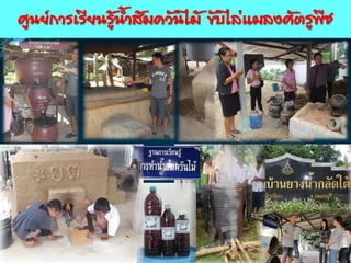 ศูนย์การเรียนรู้น้้าส้มควันไม้ ขับไล่แมลงศัตรูพืช
www.themegallery.com
 