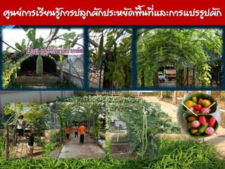 www.themegallery.com
ศูนย์การเรียนรู้การปลูกผักประหยัดพื้นที่และการแปรรูปผัก
 