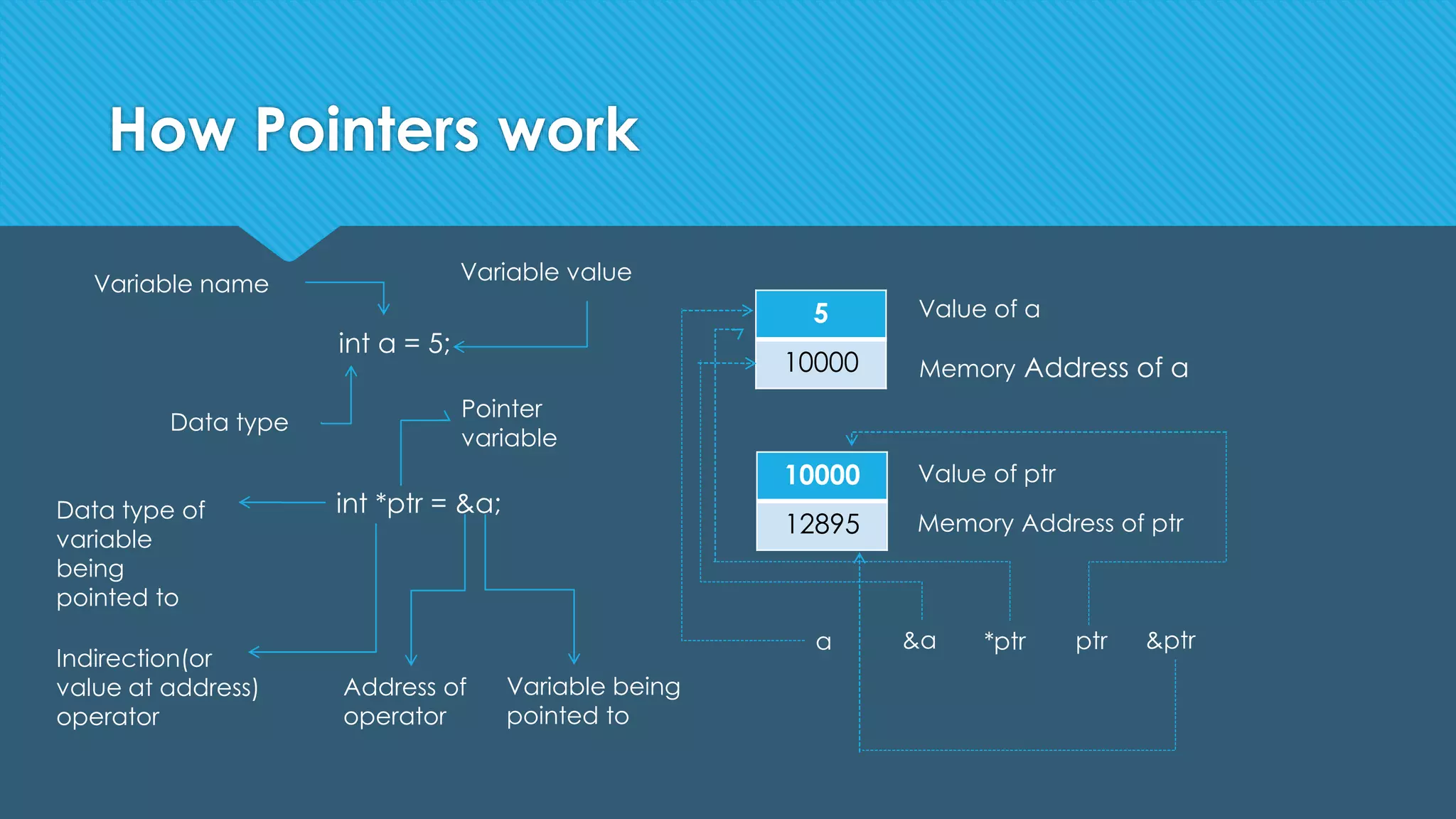 How Pointers work
int a = 5;
int *ptr = &a;
5
10000
10000
12895
Memory Address of a
Value of a
Value of ptr
Memory Address of ptr
Variable name
Data type
Variable value
Address of
operator
Variable being
pointed to
Pointer
variable
Data type of
variable
being
pointed to
Indirection(or
value at address)
operator
&a *ptr ptr &ptra
 