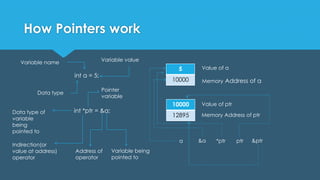 7.pointers | PPT