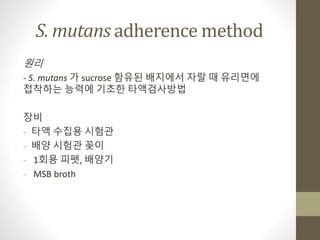 S. mutans adherence method
원리
- S. mutans 가 sucrose 함유된 배지에서 자랄 때 유리면에
접착하는 능력에 기초한 타액검사방법
장비
- 타액 수집용 시험관
- 배양 시험관 꽂이
- 1회용 피펫, 배양기
- MSB broth
 
