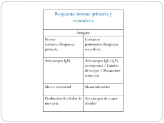 Respuesta inmune primaria y
secundaria
Antígeno
Primer
contacto: Respuesta
primaria
Contactos
posteriores: Respuesta
secundaria
Anticuerpos IgM Anticuerpos IgG (IgAs
en mucosas) / Cambio
de isotipo / Mutaciones
somáticas
Menor intensidad Mayor intensidad
Producción de células de
memoria
Anticuerpos de mayor
afinidad
 