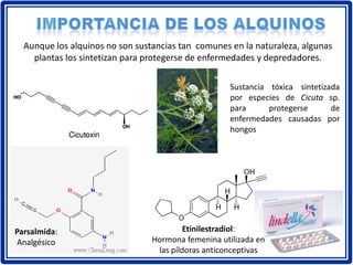 Aunque los alquinos no son sustancias tan comunes en la naturaleza, algunas
plantas los sintetizan para protegerse de enfermedades y depredadores.
Sustancia tóxica sintetizada
por especies de Cicuta sp.
para protegerse de
enfermedades causadas por
hongos
Parsalmida:
Analgésico
Etinilestradiol:
Hormona femenina utilizada en
las píldoras anticonceptivas
 