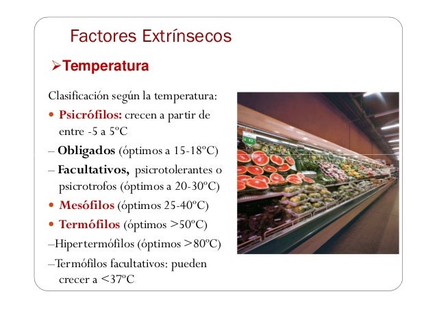 FACTORES EXTRINSECOS PDF FACTORES EXTRINSECOS PDF