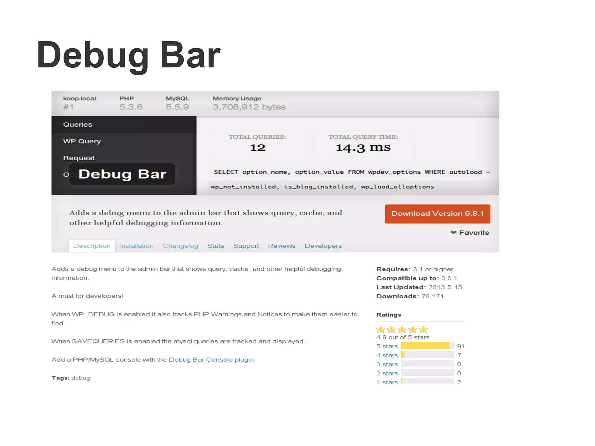 Debug Bar
 