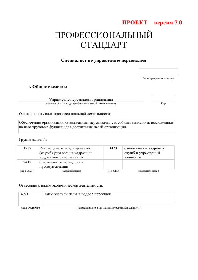 Профстандарт главный инженер проекта