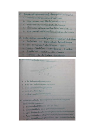 7 สามัญ ชีววิทยา