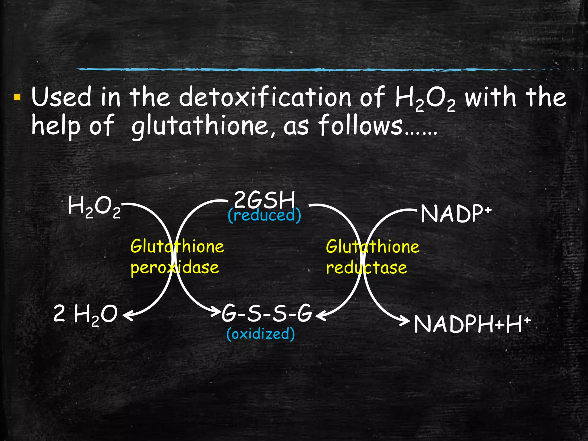 glutathione ms negative mode mass Fragmentation of Peptide Disulfides under Conditions of Negative Ion Mass  Spectrometry: Studies of Oxidized Glutathione and Contryphan