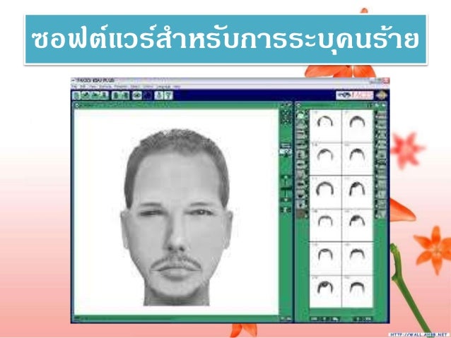 à¸à¸¥à¸à¸²à¸£à¸à¹à¸à¸«à¸²à¸£à¸¹à¸à¸ าà¸à¸ªà¸³à¸«à¸£à¸±à¸ 4. à¹à¸à¸£à¸à¸à¸²à¸à¸à¸£à¸°à¹à¸ à¸à¸à¸²à¸£à¸à¸£à¸°à¸¢à¸¸à¸à¸à¹à¹à¸à¹à¸à¸²à¸(Application)