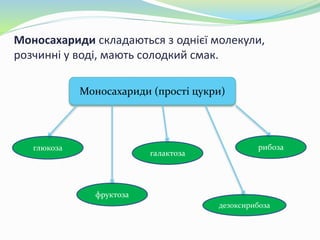 Моносахариди складаються з однієї молекули,
розчинні у воді, мають солодкий смак.
Моносахариди (прості цукри)
глюкоза
фруктоза
галактоза
дезоксирибоза
рибоза
 