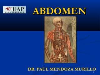 AABBDDOOMMEENN 
DR. PAÚL MENDOZA MURILLO1 
 