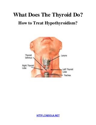 HTTP://ADOLA.NET 
What Does The Thyroid Do? 
How to Treat Hypothyroidism? 
 