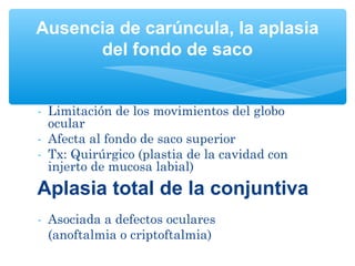 Ausencia de carúncula, la aplasia 
del fondo de saco 
- Limitación de los movimientos del globo 
ocular 
- Afecta al fondo de saco superior 
- Tx: Quirúrgico (plastia de la cavidad con 
injerto de mucosa labial) 
Aplasia total de la conjuntiva 
- Asociada a defectos oculares 
(anoftalmia o criptoftalmia) 
 