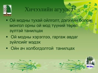 ногоон дэлхий 7 р анги