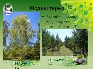 ногоон дэлхий 7 р анги | PPT