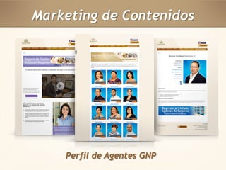 Marketing de Contenidos 
Perfil de Agentes GNP 
 
