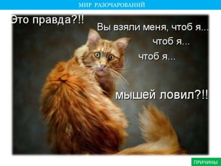 МИР РАЗОЧАРОВАНИЙ 
ПРИЧИНЫ 
 