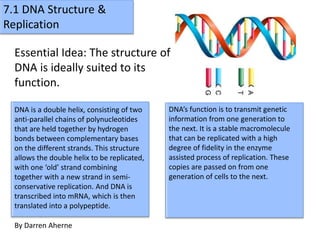 7.1 DNA Structure & 
Replication 
Essential Idea: The structure of 
DNA is ideally suited to its 
function. 
DNA is a double helix, consisting of two 
anti-parallel chains of polynucleotides 
that are held together by hydrogen 
bonds between complementary bases 
on the different strands. This structure 
allows the double helix to be replicated, 
with one ‘old’ strand combining 
together with a new strand in semi-conservative 
replication. And DNA is 
transcribed into mRNA, which is then 
translated into a polypeptide. 
DNA’s function is to transmit genetic 
information from one generation to 
the next. It is a stable macromolecule 
that can be replicated with a high 
degree of fidelity in the enzyme 
assisted process of replication. These 
copies are passed on from one 
generation of cells to the next. 
By Darren Aherne 
 