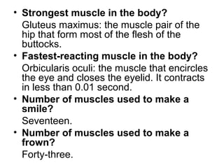 • Strongest muscle in the body? 
Gluteus maximus: the muscle pair of the 
hip that form most of the flesh of the 
buttocks. 
• Fastest-reacting muscle in the body? 
Orbicularis oculi: the muscle that encircles 
the eye and closes the eyelid. It contracts 
in less than 0.01 second. 
• Number of muscles used to make a 
smile? 
Seventeen. 
• Number of muscles used to make a 
frown? 
Forty-three. 
 