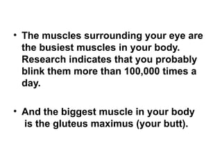 • The muscles surrounding your eye are 
the busiest muscles in your body. 
Research indicates that you probably 
blink them more than 100,000 times a 
day. 
• And the biggest muscle in your body 
is the gluteus maximus (your butt). 
 