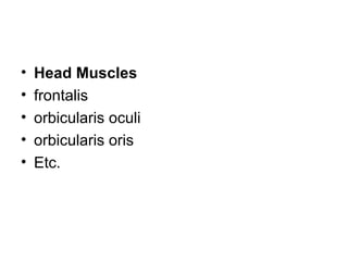 • Head Muscles 
• frontalis 
• orbicularis oculi 
• orbicularis oris 
• Etc. 
