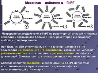 Механизм ддееййссттввиияя аа –– ГГннРРГГ 
ННееппррееррыыввннооее ввооззддееййссттввииее аа--ГГннРРГГ ннаа ррееццееппттооррнныыйй ааппппаарраатт ггииппооффииззаа 
ппррииввооддиитт кк ссввяяззыыввааннииюю ббооллььшшеейй ччаассттии ррееццееппттоорроовв ии кк ппииккооввооммуу 
ввыыббррооссуу ггооннааддооттррооппиинноовв.. 
ППррии ддааллььннееййшшеейй ссттииммуулляяццииии,, кк 77 –– 1144 ддннюю ппррииммееннеенниияя аа--ГГннРРГГ,, 
ппррооииссххооддиитт ииссччееззннооввееннииее ГГннРРГГ--ррееццееппттоорроовв,, ккооттооррыыее ннее ууссппееввааюютт 
рреессииннттееззииррооввааттььссяя,, ччттоо ппррииввооддиитт кк ддеессееннссииттииззааццииии ггииппооффииззаа ии 
ддллииттееллььнноойй ббллооккааддее ссииннттееззаа ггооннааддооттррооппиинноовв ии ппооллооввыыхх ссттееррооииддоовв.. 
ББллооккааддаа яяввлляяееттссяя ооббррааттииммоойй ии ппооссллее ооттммеенныы аа--ГГннРРГГ ппооллннооссттььюю 
ввооссссттааннааввллииввааееттссяя ччууввссттввииттееллььннооссттьь ааддееннооггииппооффииззаа кк 
ггииппооттааллааммииччеессккоойй ссттииммуулляяццииии.. 
 