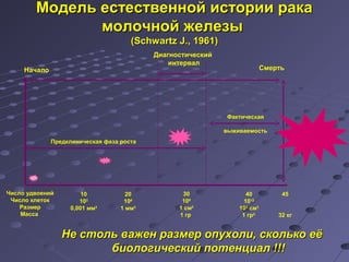 Модель естественной ииссттооррииии ррааккаа 
ммооллооччнноойй жжееллееззыы 
((SScchhwwaarrttzz J..,, 11996611)) 
Начало Смерть 
Предклиническая фаза роста 
Фактическая 
выживаемость 
Число удвоений 
Число клеток 
Размер 
Масса 
10 
102 
0,001 мм3 
20 
106 
1 мм3 
30 
109 
1 см3 
1 гр. 
40 
1012 
103 см3 
1 гр2. 
45 
32 кг 
Диагностический 
интервал 
ННее ссттоолльь вваажжеенн ррааззммеерр ооппууххооллии,, ссккооллььккоо ееёё 
ббииооллооггииччеессккиийй ппооттееннццииаалл !!!!!! 
 