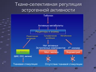 ТТккааннее--ссееллееккттииввннааяя ррееггуулляяцциияя 
ээссттррооггеенннноойй ааккттииввннооссттии 
Тиболон 
Активные метаболиты 
43 
Кости 
РРееццееппттооррыы ии ээннззииммыы 
Рецепторная 
активация 
(ЦНС, ССС, вагина) 
Тканевая стимуляция 
Сульфатазная 
ингибиция 
Нет активных 
Мeтаболизм 
Эстрогенных компонентов 
Мол. железа 
D 4  -изомер 
Эндометрий 
Отсутствие тканевой стимуляции 
 