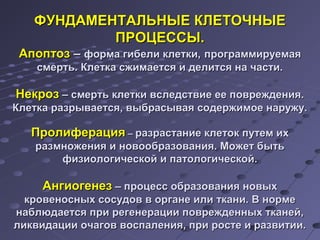 ФФУУННДДААММЕЕННТТААЛЛЬЬННЫЫЕЕ ККЛЛЕЕТТООЧЧННЫЫЕЕ 
ППРРООЦЦЕЕССССЫЫ.. 
ААппооппттоозз –– ффооррммаа ггииббееллии ккллееттккии,, ппррооггррааммммииррууееммааяя 
ссммееррттьь.. ККллееттккаа ссжжииммааееттссяя ии ддееллииттссяя ннаа ччаассттии.. 
ННееккрроозз –– ссммееррттьь ккллееттккии ввссллееддссттввииее ееее ппоовврреежжддеенниияя.. 
ККллееттккаа ррааззррыыввааееттссяя,, ввыыббрраассыыввааяя ссооддеерржжииммооее ннаарруужжуу.. 
ППррооллииффеерраацциияя –– ррааззрраассттааннииее ккллееттоокк ппууттеемм иихх 
ррааззммнноожжеенниияя ии ннооввооооббррааззоовваанниияя.. ММоожжеетт ббыыттьь 
ффииззииооллооггииччеессккоойй ии ппааттооллооггииччеессккоойй.. 
ААннггииооггееннеезз –– ппррооццеесссс ооббррааззоовваанниияя ннооввыыхх 
ккррооввеенноосснныыхх ссооссууддоовв вв ооррггааннее ииллии ттккааннии.. ВВ ннооррммее 
ннааббллююддааееттссяя ппррии ррееггееннееррааццииии ппоовврреежжддеенннныыхх ттккааннеейй,, 
ллииккввииддааццииии ооччааггоовв ввооссппааллеенниияя,, ппррии ррооссттее ии ррааззввииттииии.. 
 