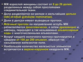 МЖ взрослой жжееннщщиинныы ссооссттооиитт оотт 66 ддоо 2266 ддооллеейй,, 
ррааззддееллеенннныыхх ммеежжддуу ссооббоойй ппррооссллооййккааммии 
ссооееддииннииттееллььнноойй ттккааннии.. 
ДДооллии ррааззддеелляяююттссяя ннаа ммееллккииее ии ммееллььччааййшшииее ддооллььккии 
((lloobbii eett lloobbuullii ggiiaanndduullaaee mmaammmmaarriiaaee)).. 
ДДооллии ии ддооллььккии ииммееюютт ввыыввоодднныыее ппррооттооккии.. 
ММллееччнныыее ппррооттооккии ппоо ннааппррааввллееннииюю ввггллууббьь ММЖЖ 
ррааззввееттввлляяююттссяя ддииххооттооммииччеессккии,, аа ззааттеемм ддррееввооввиидднноо ии,, 
ннааккооннеецц,, ппееррееххооддяятт вв ттаакк ннааззыыввааееммыыее ааллььввееоолляяррнныыее 
ххооддыы сс ммннооггооччииссллеенннныыммии ааллььввееооллааммии.. 
ВВооккрруугг ккаажжддооггоо ммооллооччннооггоо ппррооттооккаа ггррууппппииррууееттссяя вв 
ссррееддннеемм оотт 110000 ддоо 220000 ааллььввееоолл,, ооббррааззууяя ттаакк 
ннааззыыввааееммооее жжееллееззииссттооее ппооллее.. 
ННааииббооллььшшееее ккооллииччеессттввоо жжееллееззииссттыыхх ээллееммееннттоовв 
ввссттррееччааееттссяя вв ввееррххннее--ннаарруужжнноомм ккввааддррааннттее ММЖЖ.. 
 