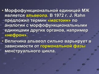 Морфофункциональной ееддииннииццеейй ММЖЖ 
яяввлляяееттссяя ааллььввееооллаа.. ВВ 11997722 гг.. J.. RRaahhnn 
ппррееддллоожжиилл ттееррммиинн «ммаассттооиинн» ппоо 
ааннааллооггииии сс ммооррффооффууннккццииооннааллььнныыммии 
ееддииннииццааммии ддррууггиихх ооррггаанноовв,, ннааппррииммеерр 
«ннееффрроонн».. 
ВВееллииччииннаа ааллььввееоолл ссииллььнноо ввааррььииррууеетт вв 
ззааввииссииммооссттии оотт ггооррммооннааллььнноойй ффааззыы 
ммееннссттррууааллььннооггоо ццииккллаа.. 
 