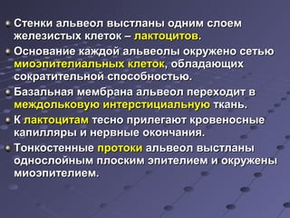 ССттееннккии ааллььввееоолл ввыыссттллаанныы оодднниимм ссллооеемм 
жжееллееззииссттыыхх ккллееттоокк –– ллааккттооццииттоовв.. 
ООссннооввааннииее ккаажжддоойй ааллььввееооллыы ооккрруужжеенноо ссееттььюю 
ммииооээппииттееллииааллььнныыхх ккллееттоокк,, ооббллааддааюющщиихх 
ссооккррааттииттееллььнноойй ссппооссооббннооссттььюю.. 
ББааззааллььннааяя ммееммббррааннаа ааллььввееоолл ппееррееххооддиитт вв 
ммеежжддооллььккооввууюю ииннттееррссттииццииааллььннууюю ттккаанньь.. 
КК ллааккттооццииттаамм ттеесснноо ппррииллееггааюютт ккррооввеенноосснныыее 
ккааппиилллляяррыы ии ннееррввнныыее ооккооннччаанниияя.. 
ТТооннккооссттеенннныыее ппррооттооккии ааллььввееоолл ввыыссттллаанныы 
ооддннооссллооййнныымм ппллооссккиимм ээппииттееллииеемм ии ооккрруужжеенныы 
ммииооээппииттееллииеемм.. 
 