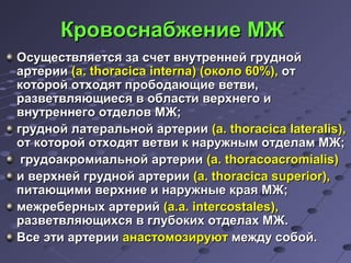 ККррооввооссннааббжжееннииее ММЖЖ 
ООссуущщеессттввлляяееттссяя ззаа ссччеетт ввннууттррееннннеейй ггрруудднноойй 
ааррттееррииии ((aa.. tthhoorraacciiccaa iinntteerrnnaa)) ((ооккооллоо 6600%%)),, оотт 
ккооттоорроойй ооттххооддяятт ппррооббооддааюющщииее ввееттввии,, 
ррааззввееттввлляяюющщииеессяя вв ооббллаассттии ввееррххннееггоо ии 
ввннууттррееннннееггоо ооттддееллоовв ММЖЖ;; 
ггрруудднноойй ллааттееррааллььнноойй ааррттееррииии ((aa.. tthhoorraacciiccaa llaatteerraalliiss)),, 
оотт ккооттоорроойй ооттххооддяятт ввееттввии кк ннаарруужжнныымм ооттддееллаамм ММЖЖ;; 
ггррууддооааккррооммииааллььнноойй ааррттееррииии ((aa.. tthhoorraaccooaaccrroommiiaalliiss)) 
ии ввееррххннеейй ггрруудднноойй ааррттееррииии ((aa.. tthhoorraacciiccaa ssuuppeerriioorr)),, 
ппииттааюющщииммии ввееррххннииее ии ннаарруужжнныыее ккррааяя ММЖЖ;; 
ммеежжррееббееррнныыхх ааррттеерриийй ((aa..aa.. iinntteerrccoossttaalleess)),, 
ррааззввееттввлляяюющщииххссяя вв ггллууббооккиихх ооттддееллаахх ММЖЖ.. 
ВВссее ээттии ааррттееррииии ааннаассттооммооззииррууюютт ммеежжддуу ссооббоойй.. 
 