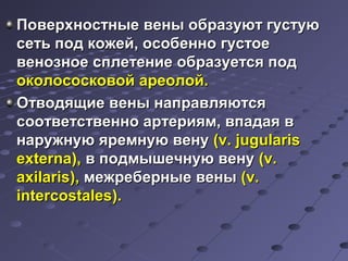 Поверхностные ввеенныы ооббррааззууюютт ггууссттууюю 
ссееттьь ппоодд ккоожжеейй,, ооссооббеенннноо ггууссттооее 
ввееннооззннооее ссппллееттееннииее ооббррааззууееттссяя ппоодд 
ооккооллооссооссккооввоойй ааррееооллоойй.. 
ООттввооддяящщииее ввеенныы ннааппррааввлляяююттссяя 
ссооооттввееттссттввеенннноо ааррттеерриияямм,, ввппааддааяя вв 
ннаарруужжннууюю яяррееммннууюю ввееннуу ((vv.. jjuugguullaarriiss 
eexxtteerrnnaa)),, вв ппооддммыышшееччннууюю ввееннуу ((vv.. 
aaxxiillaarriiss)),, ммеежжррееббееррнныыее ввеенныы ((vv.. 
iinntteerrccoossttaalleess)).. 
 