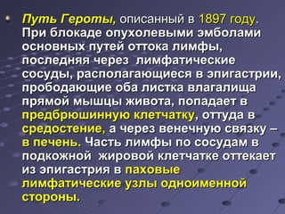 ППууттьь ГГееррооттыы,, ооппииссаанннныыйй вв 11889977 ггооддуу.. 
ППррии ббллооккааддее ооппууххооллееввыыммии ээммббооллааммии 
ооссннооввнныыхх ппууттеейй ооттттооккаа ллииммффыы,, 
ппооссллеедднняяяя ччеерреезз ллииммффааттииччеессккииее 
ссооссууддыы,, рраассппооллааггааюющщииеессяя вв ээппииггаассттррииии,, 
ппррооббооддааюющщииее ооббаа ллииссттккаа ввллааггааллиищщаа 
ппрряяммоойй ммыышшццыы жжииввооттаа,, ппооппааддааеетт вв 
ппррееддббррююшшииннннууюю ккллееттччааттккуу,, ооттттууддаа вв 
ссррееддооссттееннииее,, аа ччеерреезз ввееннееччннууюю ссввяяззккуу –– 
вв ппееччеенньь.. ЧЧаассттьь ллииммффыы ппоо ссооссууддаамм вв 
ппооддккоожжнноойй жжииррооввоойй ккллееттччааттккее ооттттееккааеетт 
иизз ээппииггаассттрриияя вв ппааххооввыыее 
ллииммффааттииччеессккииее ууззллыы ооддннооииммеенннноойй 
ссттоорроонныы.. 
 