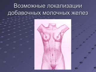 ВВооззммоожжнныыее ллооккааллииззааццииии 
ддооббааввооччнныыхх ммооллооччнныыхх жжееллеезз 
 