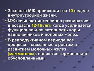 ЗЗааккллааддккаа ММЖЖ ппррооииссххооддиитт ннаа 1100 ннееддееллее 
ввннууттррииууттррооббнноойй жжииззннии.. 
ММЖЖ ннааччииннааюютт ииннттееннссииввнноо ррааззввииввааттььссяя 
вв ввооззрраассттее 1122--1166 ллеетт,, ккооггддаа ууссииллииввааееттссяя 
ффууннккццииооннааллььннааяя ааккттииввннооссттьь ккооррыы 
ннааддппооччееччннииккоовв ии ппооллооввыыхх жжееллеезз.. 
ВВ ррееппррооддууккттииввнноомм ппееррииооддее ввссее 
ппррооццеессссыы,, ссввяяззаанннныыее сс ррооссттоомм ии 
ррааззввииттииеемм ммооллооччнныыхх жжееллеезз 
((ммааммммооггееннеезз)),, яяввлляяююттссяя ггооррммооннааллььнноо 
ооббууссллооввллеенннныыммии.. 
 