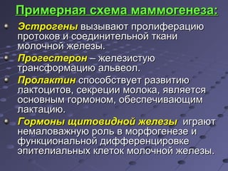 Примерная ссххееммаа ммааммммооггееннееззаа:: 
ЭЭссттррооггеенныы ввыыззыыввааюютт ппррооллииффееррааццииюю 
ппррооттооккоовв ии ссооееддииннииттееллььнноойй ттккааннии 
ммооллооччнноойй жжееллееззыы.. 
ППррооггеессттеерроонн –– жжееллееззииссттууюю 
ттррааннссффооррммааццииюю ааллььввееоолл.. 
ППррооллааккттиинн ссппооссооббссттввууеетт ррааззввииттииюю 
ллааккттооццииттоовв,, ссееккррееццииии ммооллооккаа,, яяввлляяееттссяя 
ооссннооввнныымм ггооррммоонноомм,, ооббеессппееччииввааюющщиимм 
ллааккттааццииюю.. 
ГГооррммоонныы щщииттооввиидднноойй жжееллееззыы ииггррааюютт 
ннееммааллоовваажжннууюю рроолльь вв ммооррффооггееннееззее ии 
ффууннккццииооннааллььнноойй ддииффффееррееннццииррооввккее 
ээппииттееллииааллььнныыхх ккллееттоокк ммооллооччнноойй жжееллееззыы.. 
 