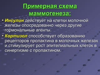 ППррииммееррннааяя ссххееммаа 
ммааммммооггееннееззаа:: 
ИИннссууллиинн ддееййссттввууеетт ннаа ккллееттккии ммооллооччнноойй 
жжееллееззыы ооппооссррееддоовваанннноо ччеерреезз ддррууггииее 
ггооррммооннааллььнныыее ааггееннттыы.. 
ККооррттииззоолл ссппооссооббссттввууеетт ооббррааззооввааннииюю 
ррееццееппттоорроовв ппррооллааккттииннаа вв ммооллооччнныыхх жжееллееззаахх 
ии ссттииммууллииррууеетт рроосстт ээппииттееллииааллььнныыхх ккллееттоокк вв 
ссииннееррггииззммее сс ппррооллааккттиинноомм.. 
 