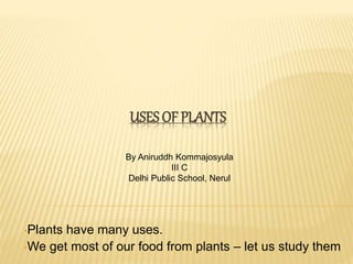 USES OF PLANTS 
By Aniruddh Kommajosyula 
III C 
Delhi Public School, Nerul 
•Plants have many uses. 
•We get most of our food from plants – let us study them 
 
