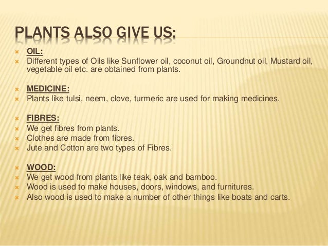 7.uses of plants