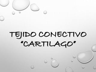 TEJIDO CONECTIVO 
“CARTILAGO” 
 